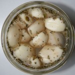 fermenting garlic
