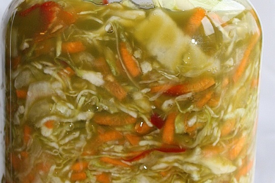 Homemade fermented vegetables