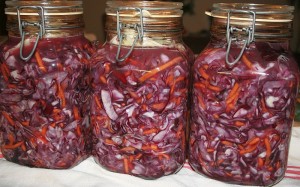 Fermented vegetables Mercola kinetic culture