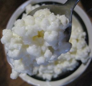 Fermented Milk Products • The Milky Way to Good Health