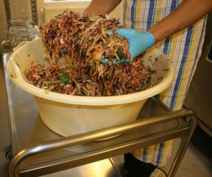 vegetable mix